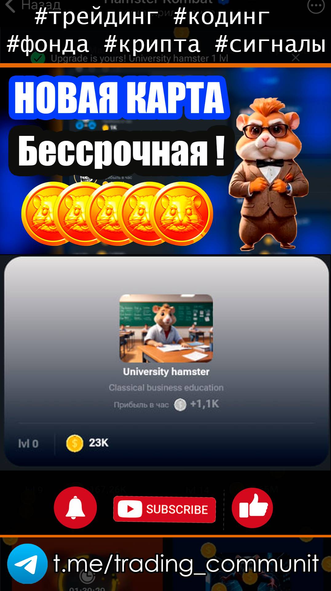 Новая карта в хомяке - University hamster #shorts