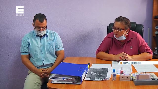 «Я не специально»: в Шушенском прошел суд над владельцем коровы-дебоширки