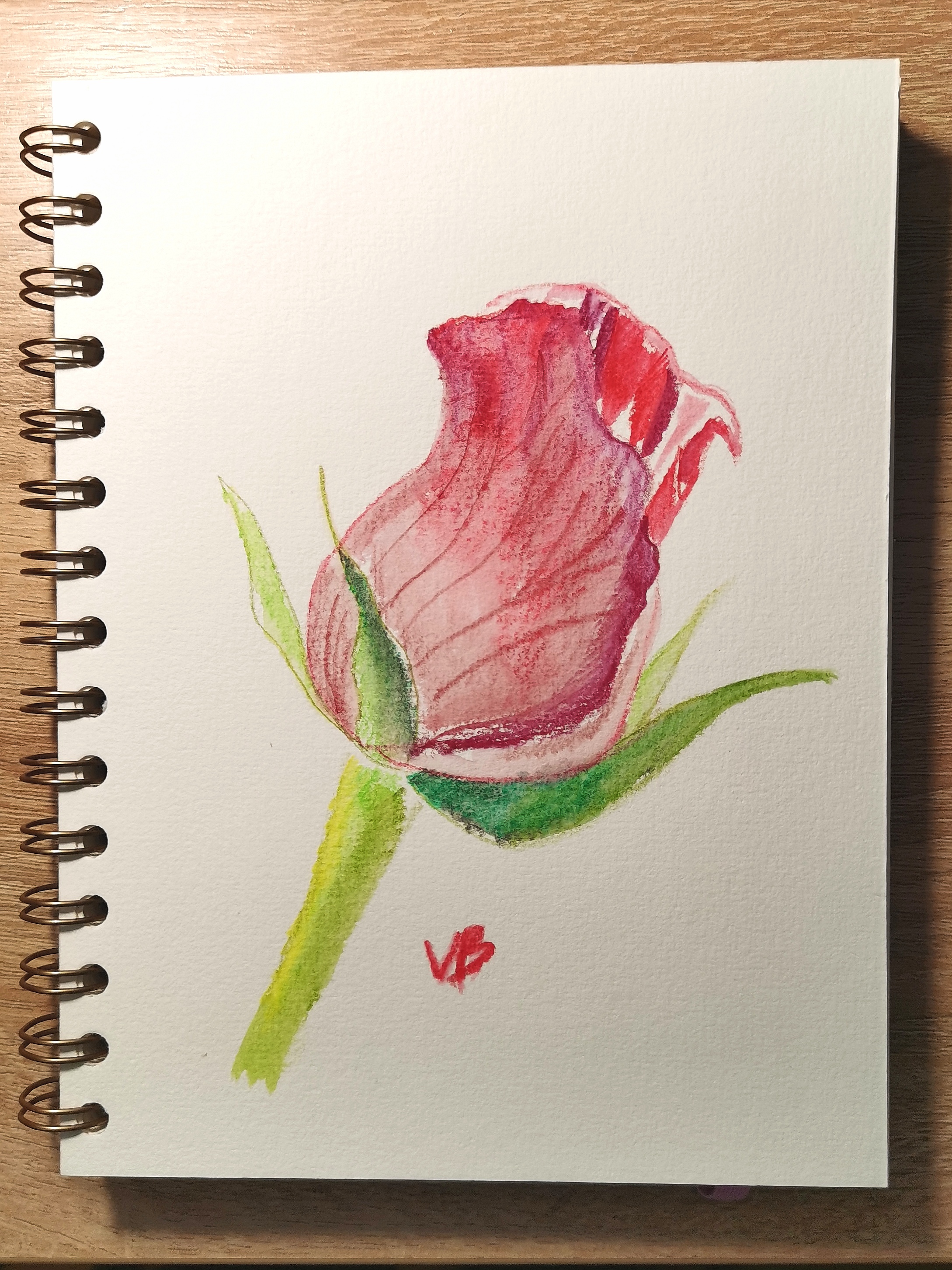 Красная роза акварельными карандашами || Пошаговое объяснение