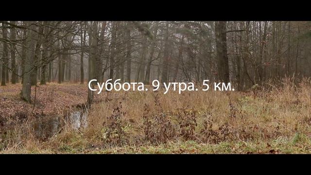 Суббота. Утро. Парк.