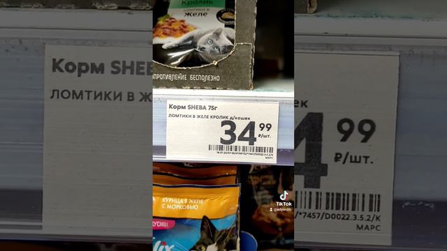 На себе экономим, а кошку накормим!