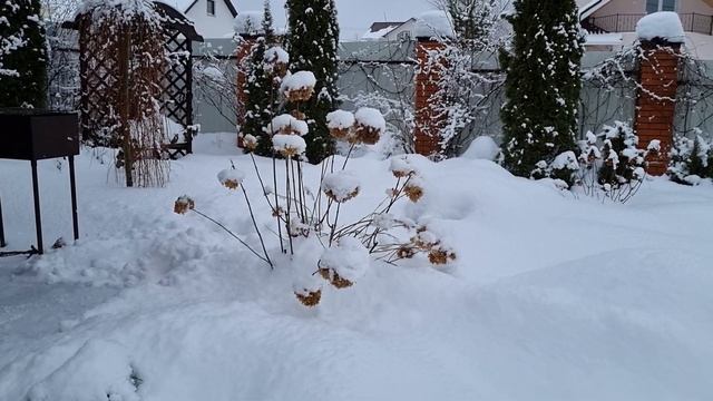 Последствия  снегопада. Сад в январе.