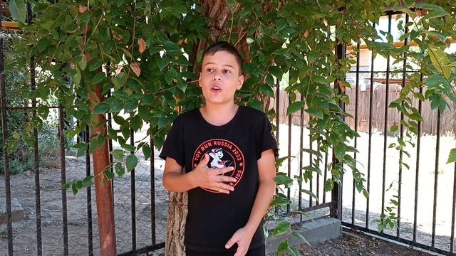 Коренев Ярослав, 13 лет, Н.М. Рубцов "Ласточка"