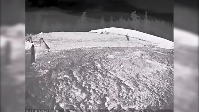 Департамент США опубликовал фотографии и видео снежного человека