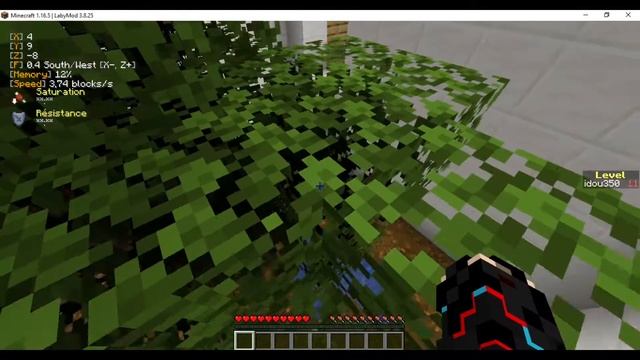 MINECRAFT PARADAISE PARKOUR 1.16.5
