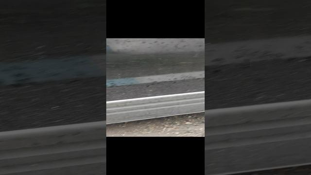 VID_20220808_101954.mp4