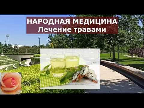 НАРОДНАЯ МЕДИЦИНА - общая информация