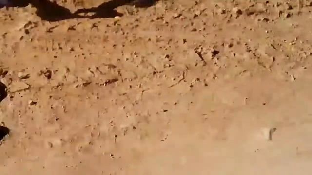 Я испугался когда увидел змею