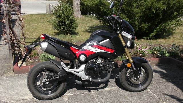 Honda MSX125 Grom: #FFFF a.k.a. Frühling, Fuzzi fährt fieder äh wieder! Dax-Tobi 035