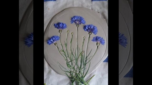 Ботанический барельеф.Ромашки и васильки