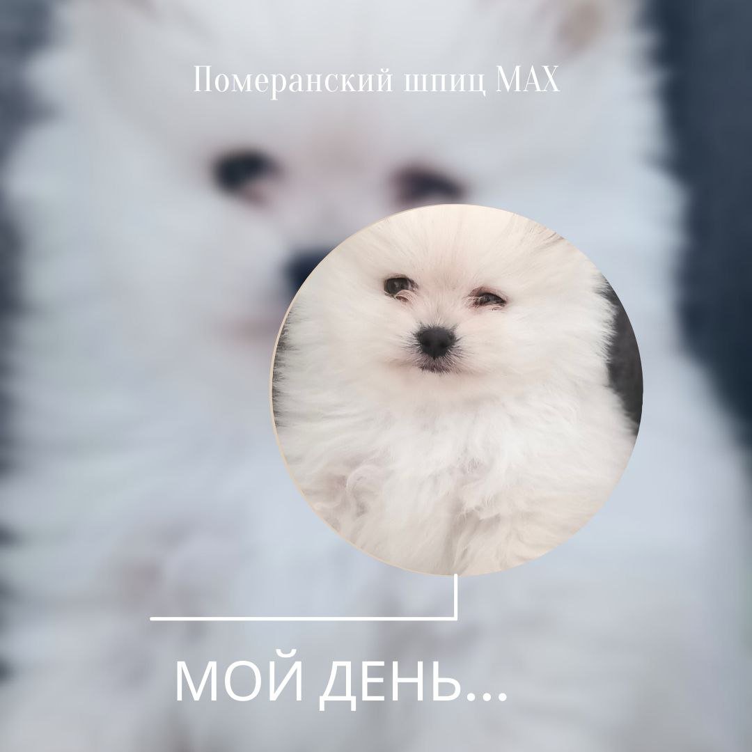 Мой день...