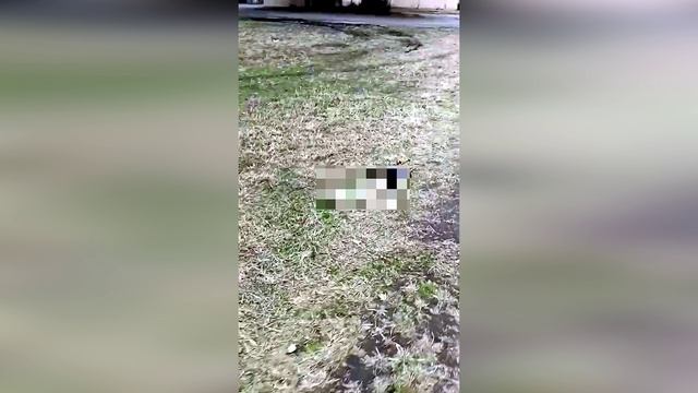 Одесский ипподром , FPV-дрон с бомбой валяется на земле .