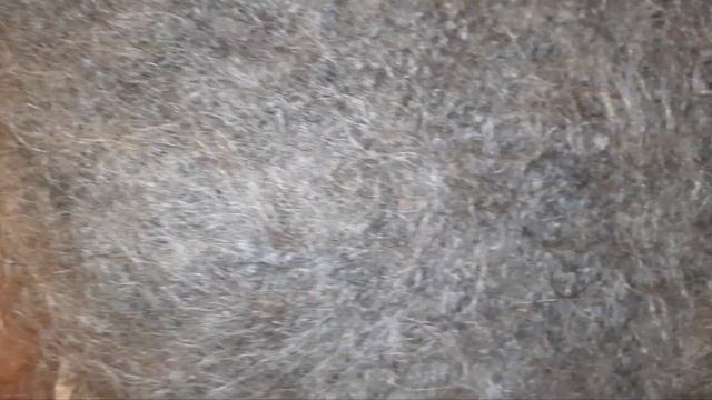 Жилетки из козьего Пуха.  Ссылка на Авито доставку в описании.