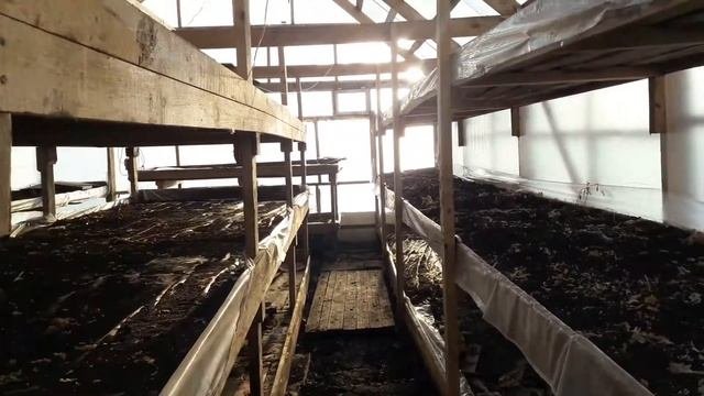 теплица из бруса. покрыта  поликорбонат