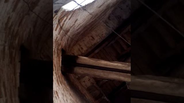 Как сохранить уши звонаря.