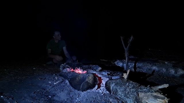 СЕЛИГЕР АВГУСТ ДЕНЬ ОДИННАДЦАТЫЙ