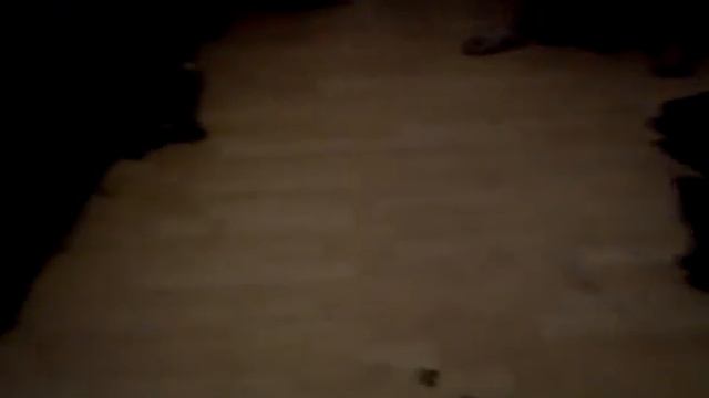 2 kittens and a laminate brush