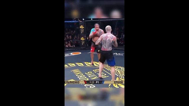 ЕМЕЛЬЯНЕНКО ЕРШОВ выставочный бой