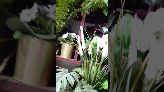 ИКЕА цветы искусственные.mp4