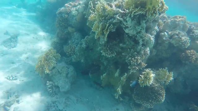 Египет, Красное море,