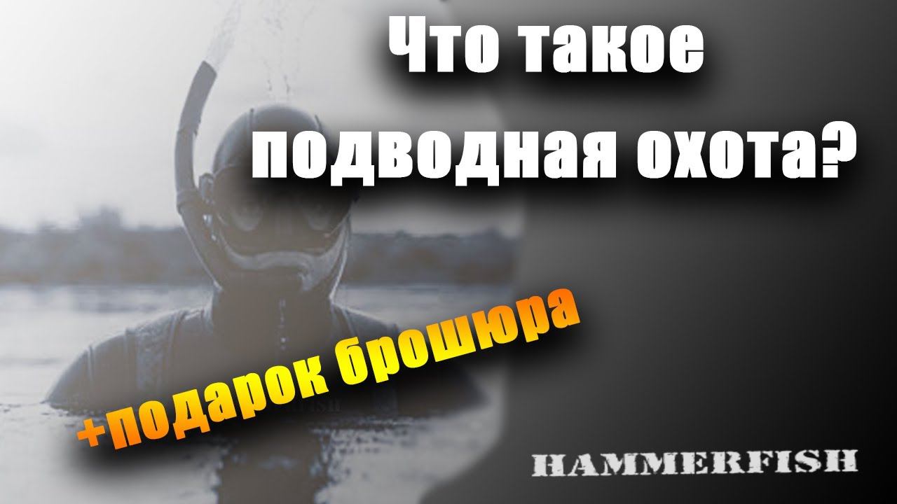 Что такое подводная охота?