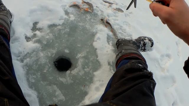 Отчет с рыбалки 24. 12. 2019.  (Съёмка Брат Виталик)