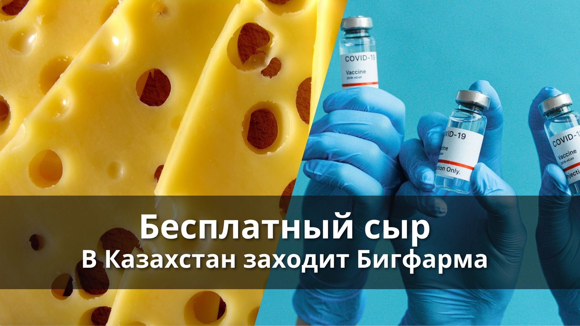 Бесплатный сыр для Казахстана