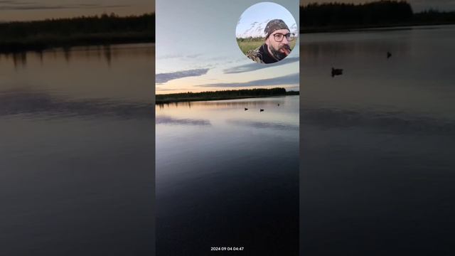 Охота на уток 2024