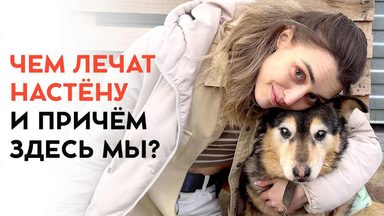 Помощь слепой собачке Настёне. Почему ей надо так много препаратов для лечения.
