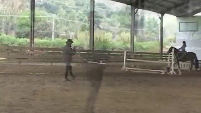 equitacion club y escuela el oliveto martina