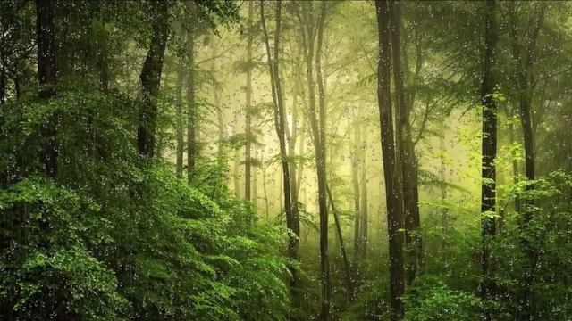 ??Chill Bossa Nova Instrumental Music- Cafe Music Jazz & Bossa Nova Instrumental-Bossa Nova Lounge?