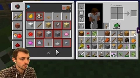 ПРоХоДиМеЦ Разводит КУРОЧЕК и Делает ОГОРОД для СТИВА! #22 - игра Майнкрафт