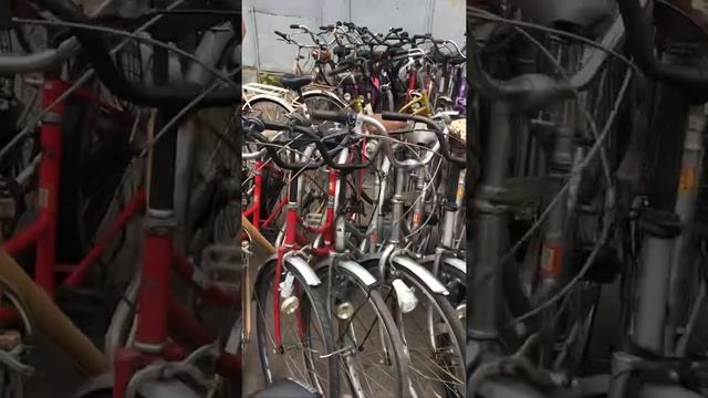 Склад велосипедов. Японские бу и Тайвань новые