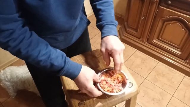 Собака-сыроед