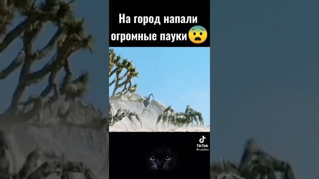 6ee5abd094eb36f028f7236a1c129e7a.mp4