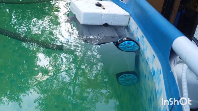 ZX300 очищает не только дно бассейна, но и стенки с ватерлинией. А теперь всех выгоняет оттуда.mp4