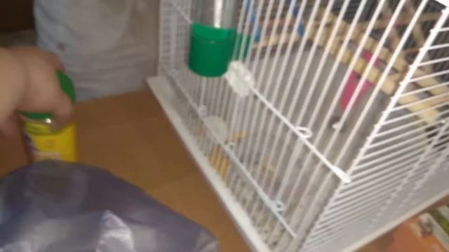 Уматные покупки для птиц