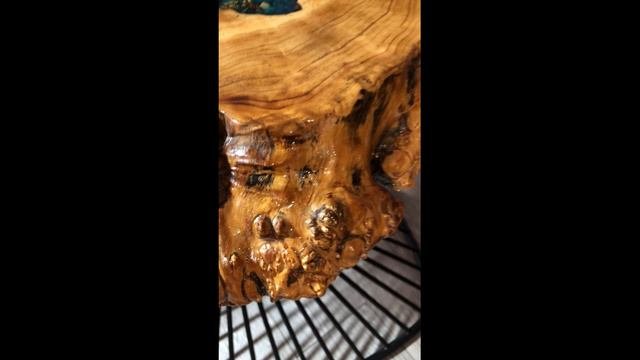 КАРАГАЧ ЩЕПКИ