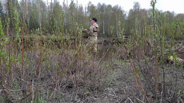 ОНИ ГНУТ СПИННИНГ В ДУГУ... Эмоции зашкаливают от таких пойманных судаков.