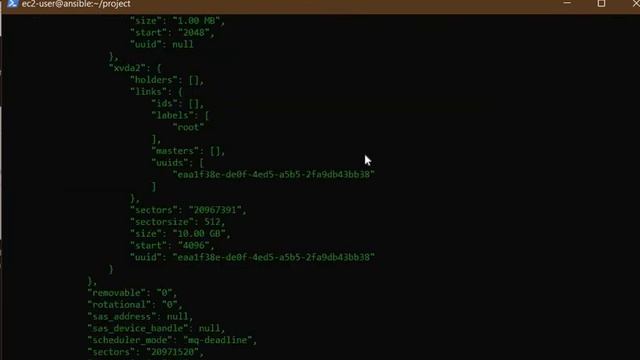# How to Debug Ansible | Ekascloud | English