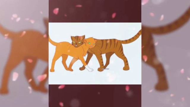 Белка и Ежевика. Вечная любовь.
