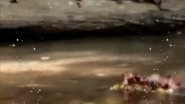 Осенние листья кружат