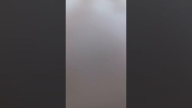 Многовековый насажденный  сектами,обман