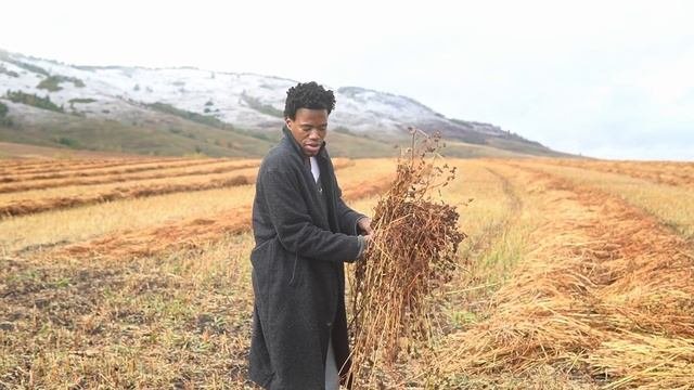 Сколько гречихи в порции гречки
