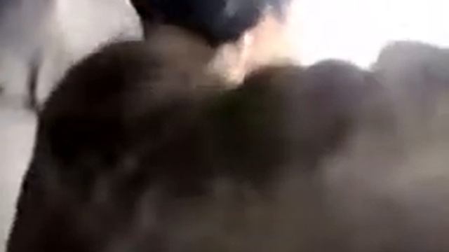 Бабушка едет на машине сдает на права
