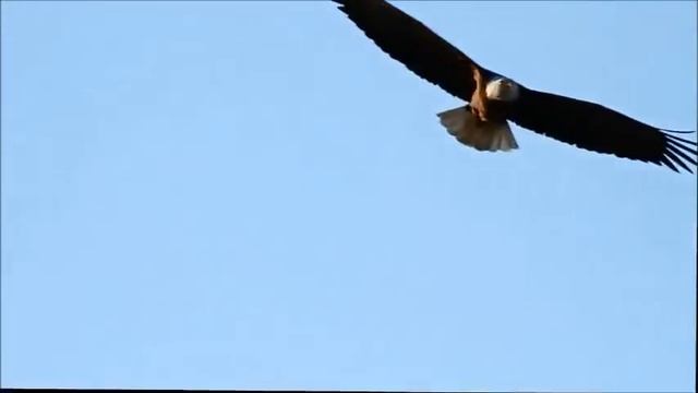 Muhteşem Çerkes Müziği  ♬