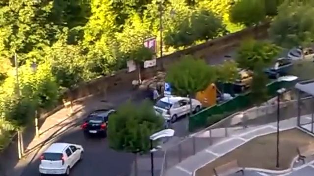 Лучшие приколы видео Стадо овец пробивается через траффик