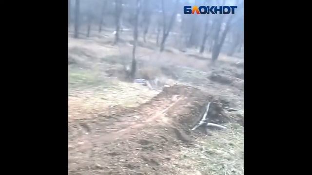 Фрирайд в Волжском