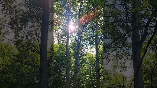 2 часть. Велесов 🧙_♂️овраг. Подношение даров ☘️🍀🌿🌹🌈Волшебные Камни-Валуны. Магия ✨🎩✨