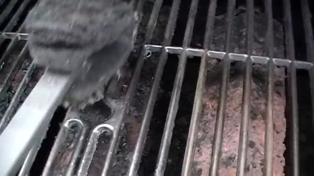 How To Keep Barbecue Grill Grate Clean and Rust Free